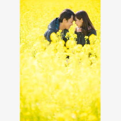 Acornが撮影したその他の写真