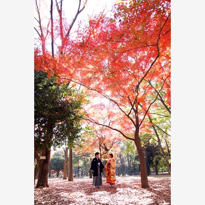 Wedding, Bridal Photos taken by ecoo