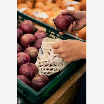 菅野　晴弥が撮影した「:albumName」の写真