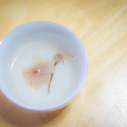 studio HATOYAが撮影したウェディングや家族、ビジネスの写真