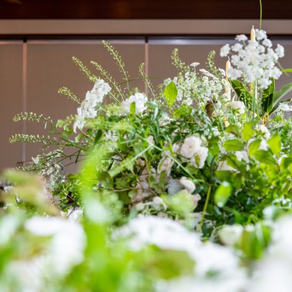 スタジオファンタスが撮影した「:albumName」の写真