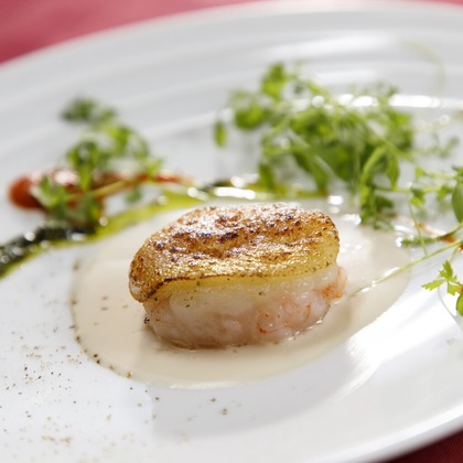 スタジオワイズが撮影した「:albumName」の写真