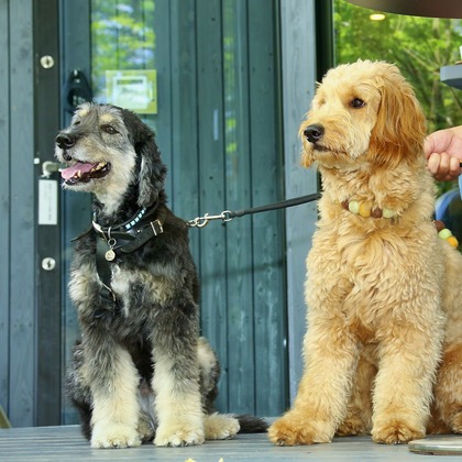 TSD officeが撮影した「:albumName」の写真