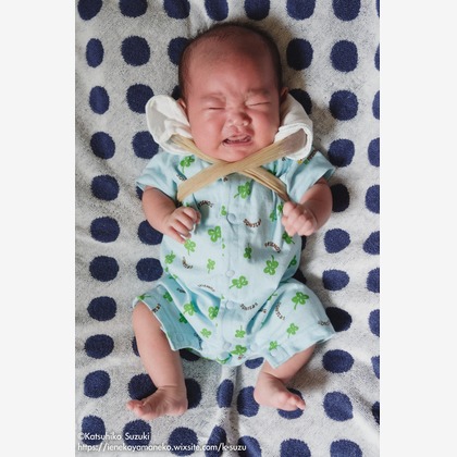 Katsuhiko Suzukiが撮影した「:albumName」の写真