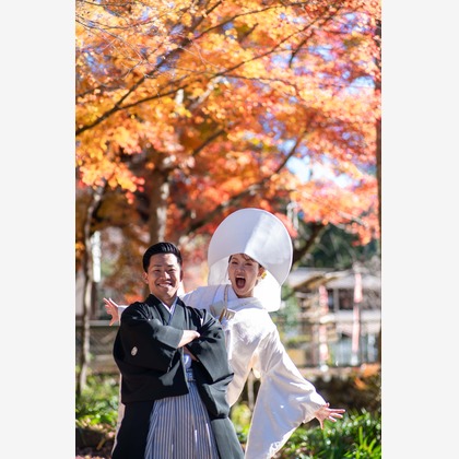 Photo of :albumName taken by THE CLIPS