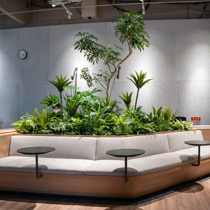 sutto imageが撮影した「:albumName」の写真