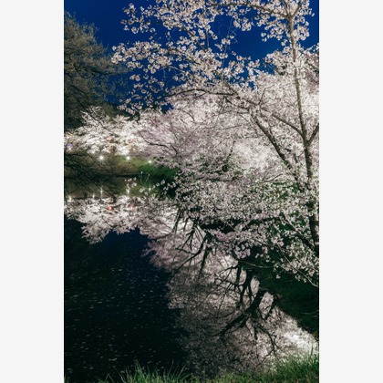 光画堂スタジオが撮影したウェディングや家族、ビジネスの写真