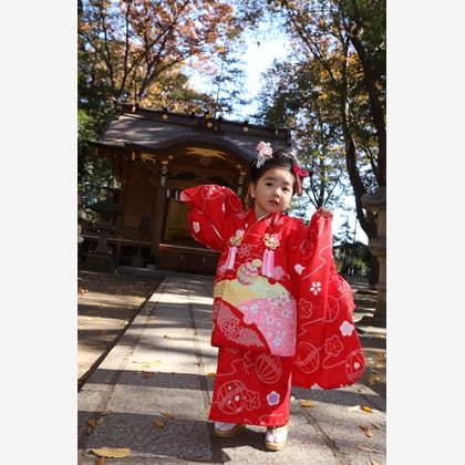 Kan Suzuki  photographyが出張撮影した家族写真, 植物, 七五三が写ったエンゲージメントフォトの写真
