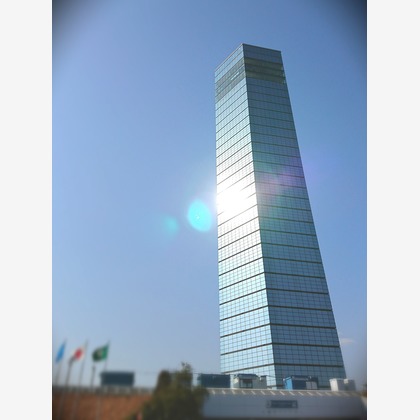 出張撮影のメモリーズが撮影した「:albumName」の写真