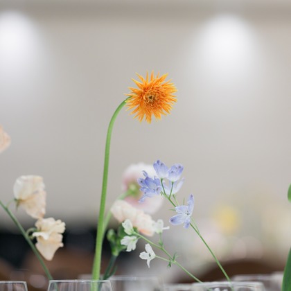 Yuki Shimada Photographyが撮影した「:albumName」の写真