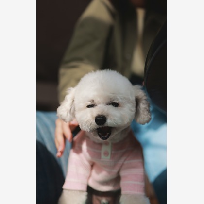 尾崎健太郎が撮影した店舗/オフィス/サロン撮影の写真