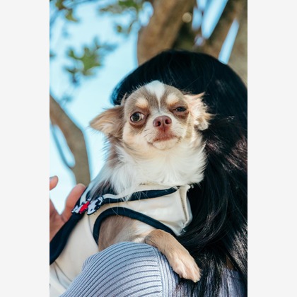 ポートレート沖縄が撮影した「:albumName」の写真