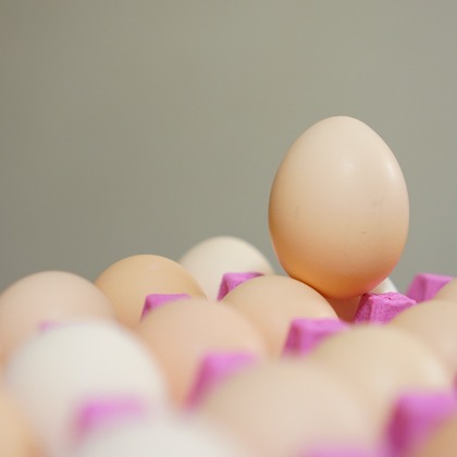 出張撮影のメモリーズが撮影した「:albumName」の写真