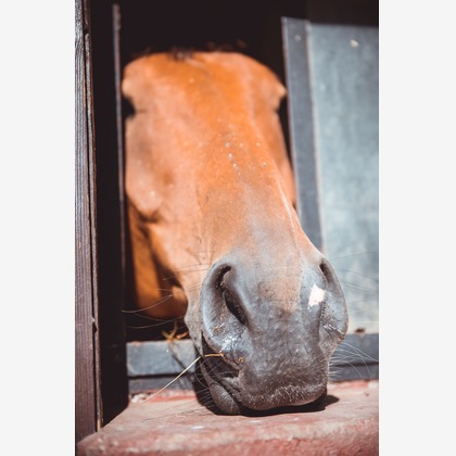 Jacek Cichopekが撮影した「:albumName」の写真