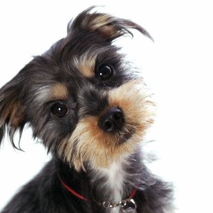 森安　照が撮影した「:albumName」の写真