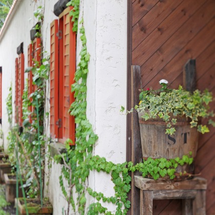 村田わかな広告写真が撮影した店舗/オフィス/サロン撮影/料理撮影の写真