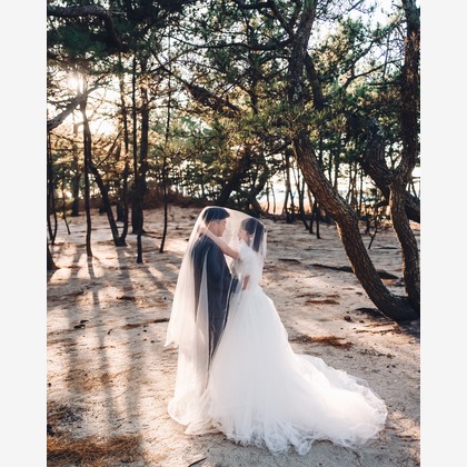 Photo of :albumName taken by STARFY