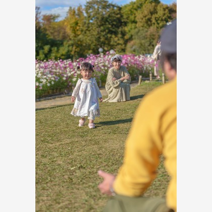 山田由佳が撮影した「:albumName」の写真