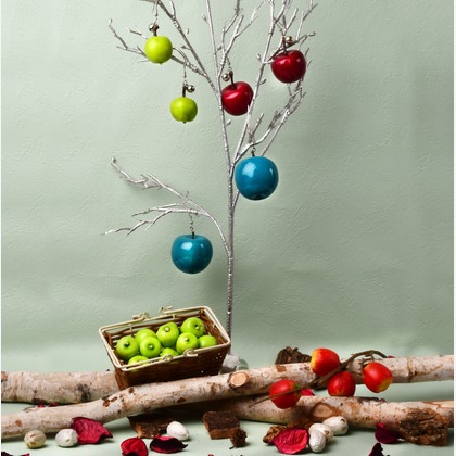 日高恵が撮影した「:albumName」の写真