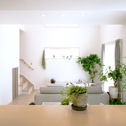 正太郎が撮影した「:albumName」の写真