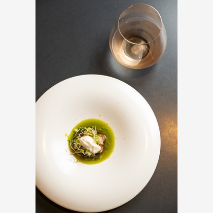 泉田真人が撮影したウェディングや家族、ビジネスの写真