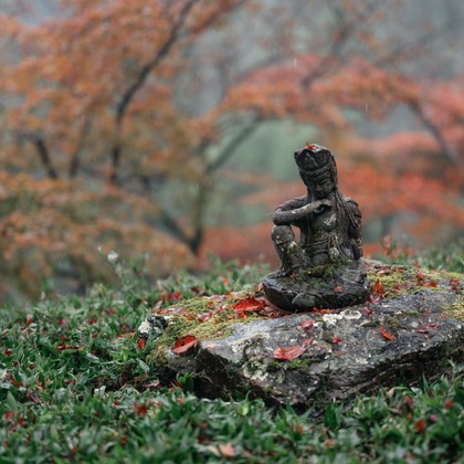 鈴木香那枝が撮影した料理撮影の写真