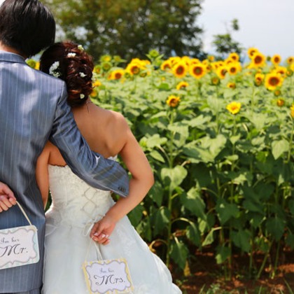 セリエドレッシングが撮影したウェディングや家族、ビジネスの写真