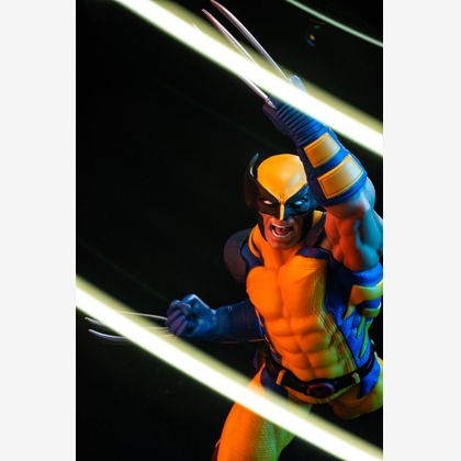 写真屋ごんちゃんが撮影した商品/物撮りの写真