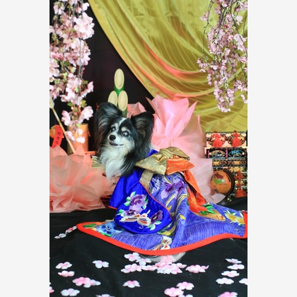 高橋 透（Coo&Sea STUDIO代表）が出張撮影した「お正月撮影会2020@新横浜Coo&Sea STUDIO」の家族写真