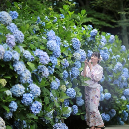 お祝い写し屋が撮影した「:albumName」の写真