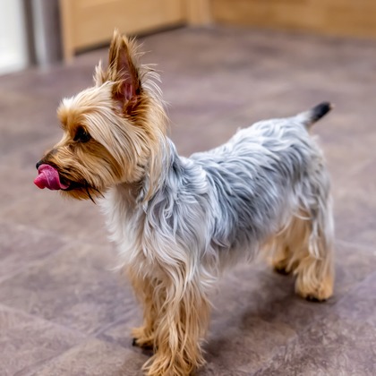 沖山俊樹が撮影した「:albumName」の写真