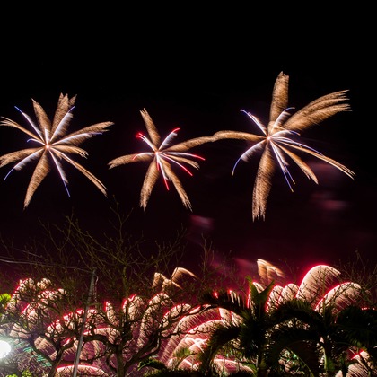 琉球幻想写真ウェディングフォト沖縄が撮影したウェディングや家族、ビジネスの写真