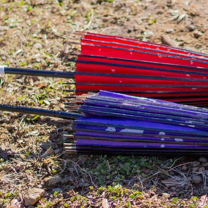 Smile photo misakeが撮影した「:albumName」の写真