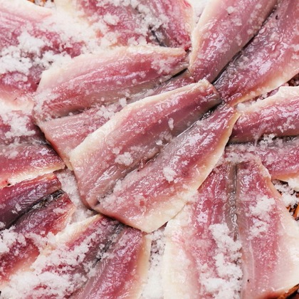 森安　照が撮影した「:albumName」の写真