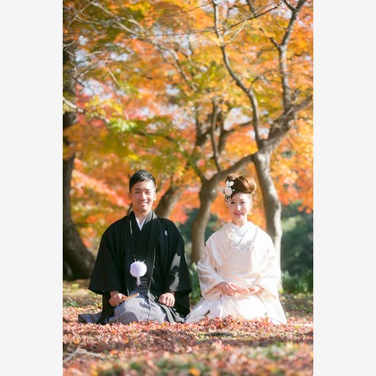 ピュアアーティス(小島 靖雄)が撮影したウェディングや家族、ビジネスの写真