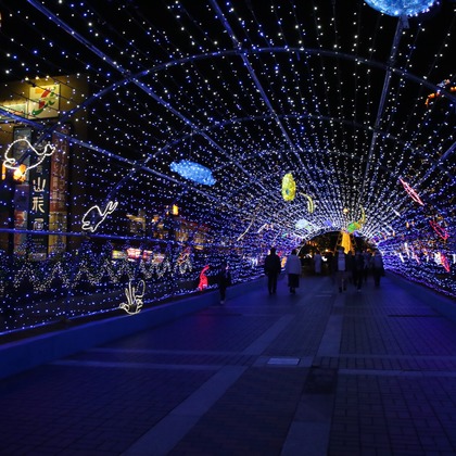 ＮＫ フォトエージェンシーが撮影したその他の写真