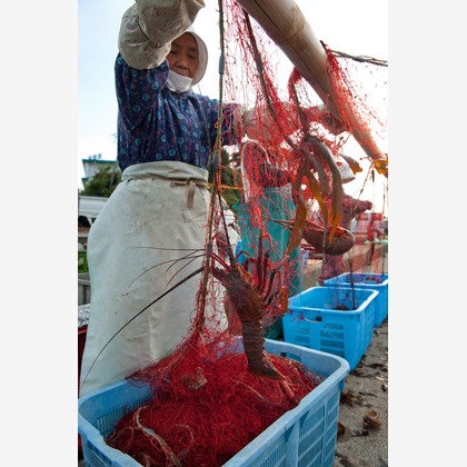 ワンツーBフォトが撮影した「:albumName」の写真