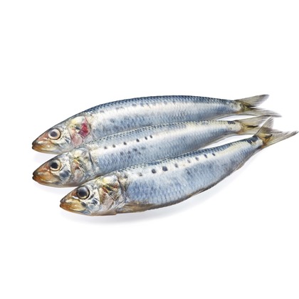 西原毅が撮影した料理撮影の写真