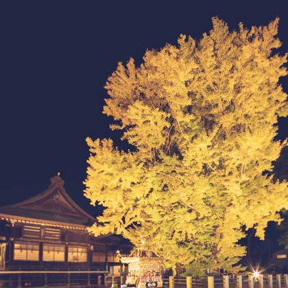 Sunstore 三條康貴が撮影したウェディングや家族、ビジネスの写真