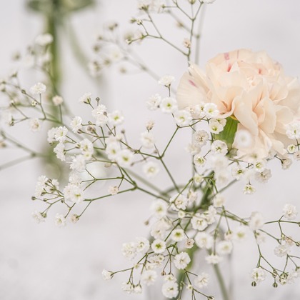 スタジオ11が撮影した「その他」のウェディングフォト - :albumName