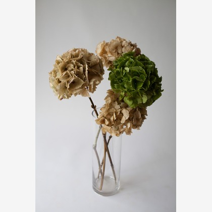 合同会社ENLIGHTENMENTが撮影した料理撮影/商品/物撮りの写真