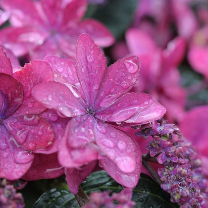 白石隆一郎が撮影した「:albumName」の写真