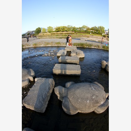 Photo of :albumName taken by Smilehunter