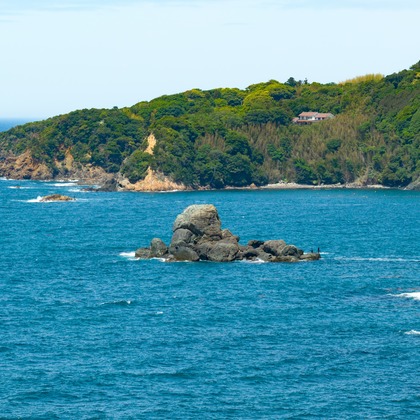 クリエイティブツリーが撮影した「:albumName」の写真