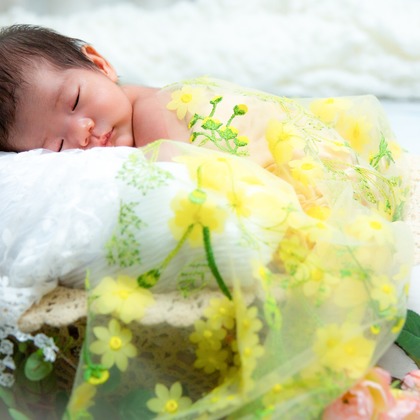 chuchan photo officeが撮影した「:albumName」の写真