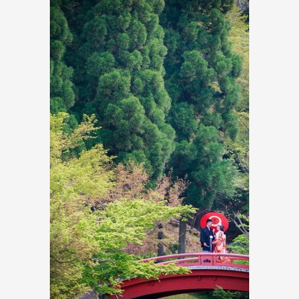 ピュアアーティス(小島 靖雄)が撮影した「:albumName」の写真