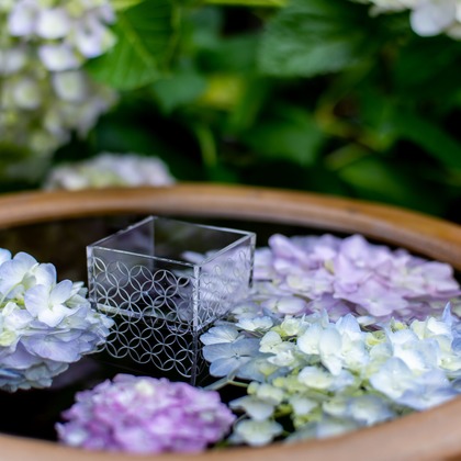 maruが撮影した「:albumName」の写真