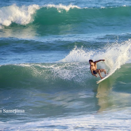 TSD officeが撮影した「:albumName」の写真