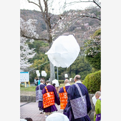 chuchan photo officeが撮影した「:albumName」の写真