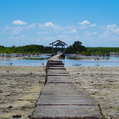 Katsuhiko Suzukiが撮影した「:albumName」の写真